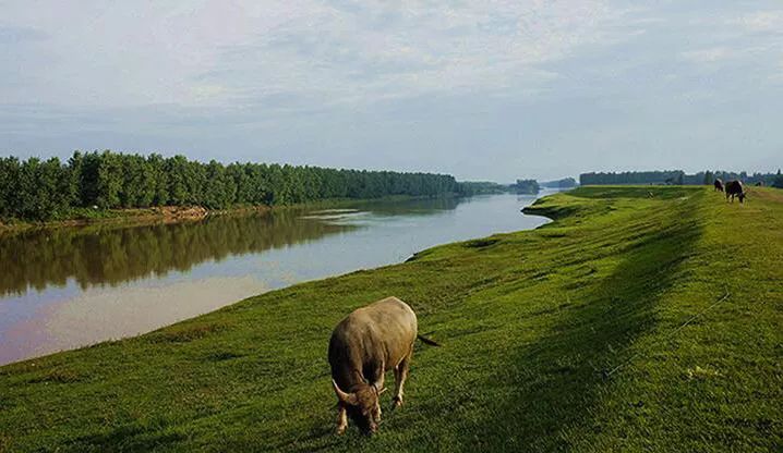 湖北特產(chǎn)